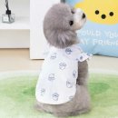 나라애견 이미지