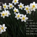굿모닝플라워 이미지