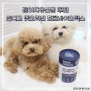펫이좋아 | 강아지 유산균 영양제 인디고 펫오리진 프로바이오틱스 후기