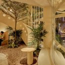 The Nest Coffee