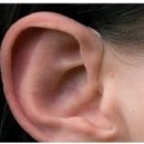 예스보청기 이미지