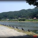 장촌낚시터 Daum카페