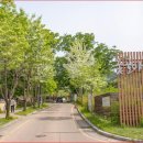 명품옻골1616협동조합 | 대구 옻골마을 운영시간 한옥스테이지 신청방법