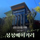 춘천 온의동 싱싱베이커리 - 시외버스터미널 앞 카페