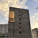 장미모텔 | 목포 신상 호텔, 다양한 컨셉의 방이 있는 “무어호텔 목포점“ 바이브룸 내돈내산 후기