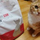 (주)랩토피아