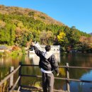 금상화장실 | 유후인 여행 1일차 긴린코호수 단풍 플로랄빌리지 금상고로케 지브리샵