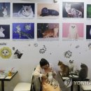 CATS TIME CAFE 이미지