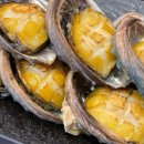 엠아이알오(MIRO) 이미지