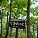 약목시장 이미지