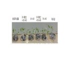 황산제이 이미지