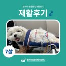 웰케어 동물건강검진센터·동물한방재활센터 이미지