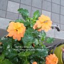 일무라노(안경공방) 이미지