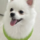 새솔동 골목댕장 이미지