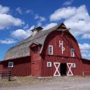 광선축사 이미지