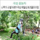 제월 | 2020년 곡성 제월섬 트리클라이밍 후기~