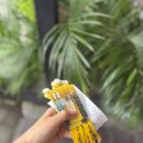 라파라이프 | 발리비치클럽 짱구 스미냑 우붓 5대 클럽 입장 리뷰 핀스,라브리사, 크레트야, 라파벨라, 아틀라스