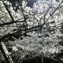 CU 사직사거리점 이미지