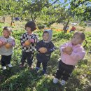 노리파크 이미지