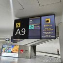 덕심슈퍼 | 덕질여행｜일본 요코하마 2박 3일 여자 혼자여행 후기