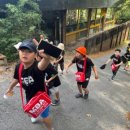 이안태권도 이미지