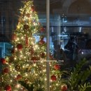 루미노 | 논현 맛집 | 루미노 다이닝 바 내돈 내산 후기 (소개팅, 청모, 연말모임 추천 장소)