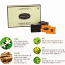 와이존 세비클럽 이미지
