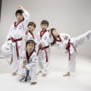 태권돌이 이미지