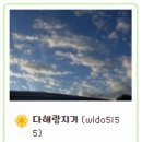 다해랑 이미지