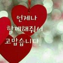 '부부의 길' 이미지