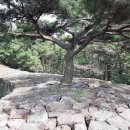 고소성주차장 Daum카페