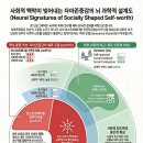 성화종합기획 | [심리 칼럼] 자존감의 뇌과학: fMRI 뇌영상 메타분석으로 본 자존감의 신경과학적 비밀