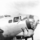 칙 플라잉 이미지