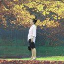모락중학교 Daum카페