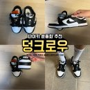 나이키 덩크로우 레트로 범고래 유행 없는 스테디 신발 남자 나이키 운동화 추천 사이즈 후기