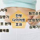 엄지척한의원 이미지