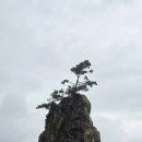 구산휴게소매점 | 해파랑길 걷기 14회차