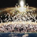 성안세탁 이미지