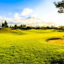 Top 스크린골프존 이미지