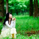 잎새바람 이미지