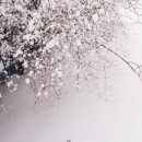 김*신 이미지