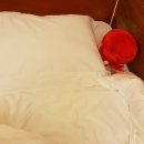 성조고시원 | 여자 혼자 마카오 여행
