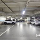 강남-150 이미지