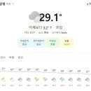 한반도태권도장 이미지