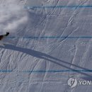 PARROT KOREA 이미지