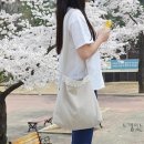 바늘과실 이미지