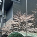 서울 페이닥터 노무상담 노무법인소담