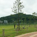 황산문화체육공원 국민여가캠핑장 이미지