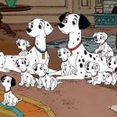 달마시안 이미지