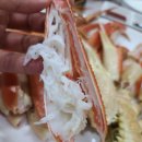 기장싱싱대게 이미지